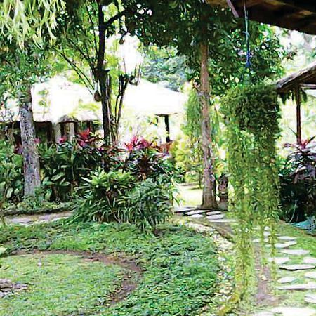 Astawa House Hotel Ubud  Exterior photo