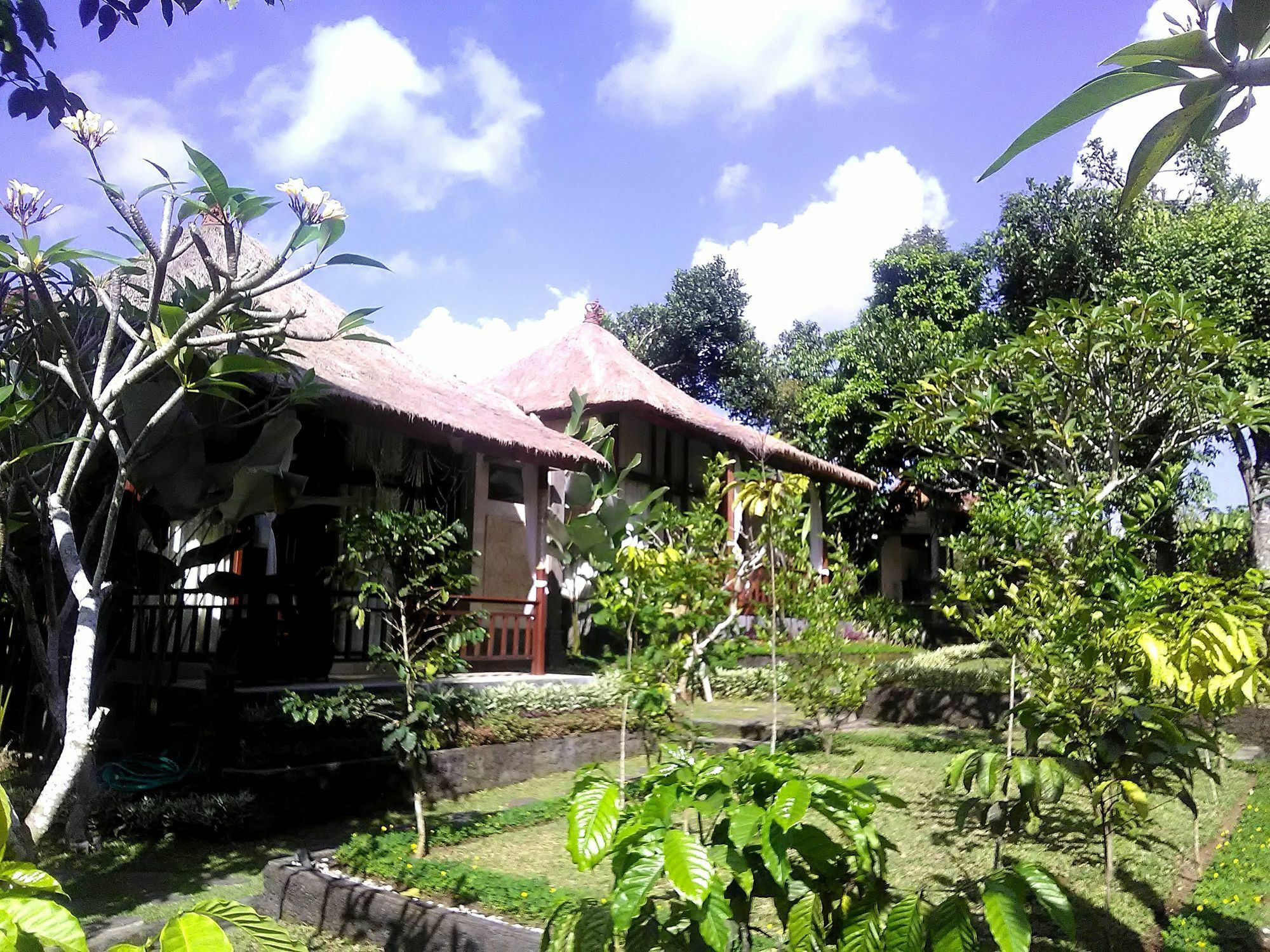 Astawa House Hotel Ubud  Exterior photo