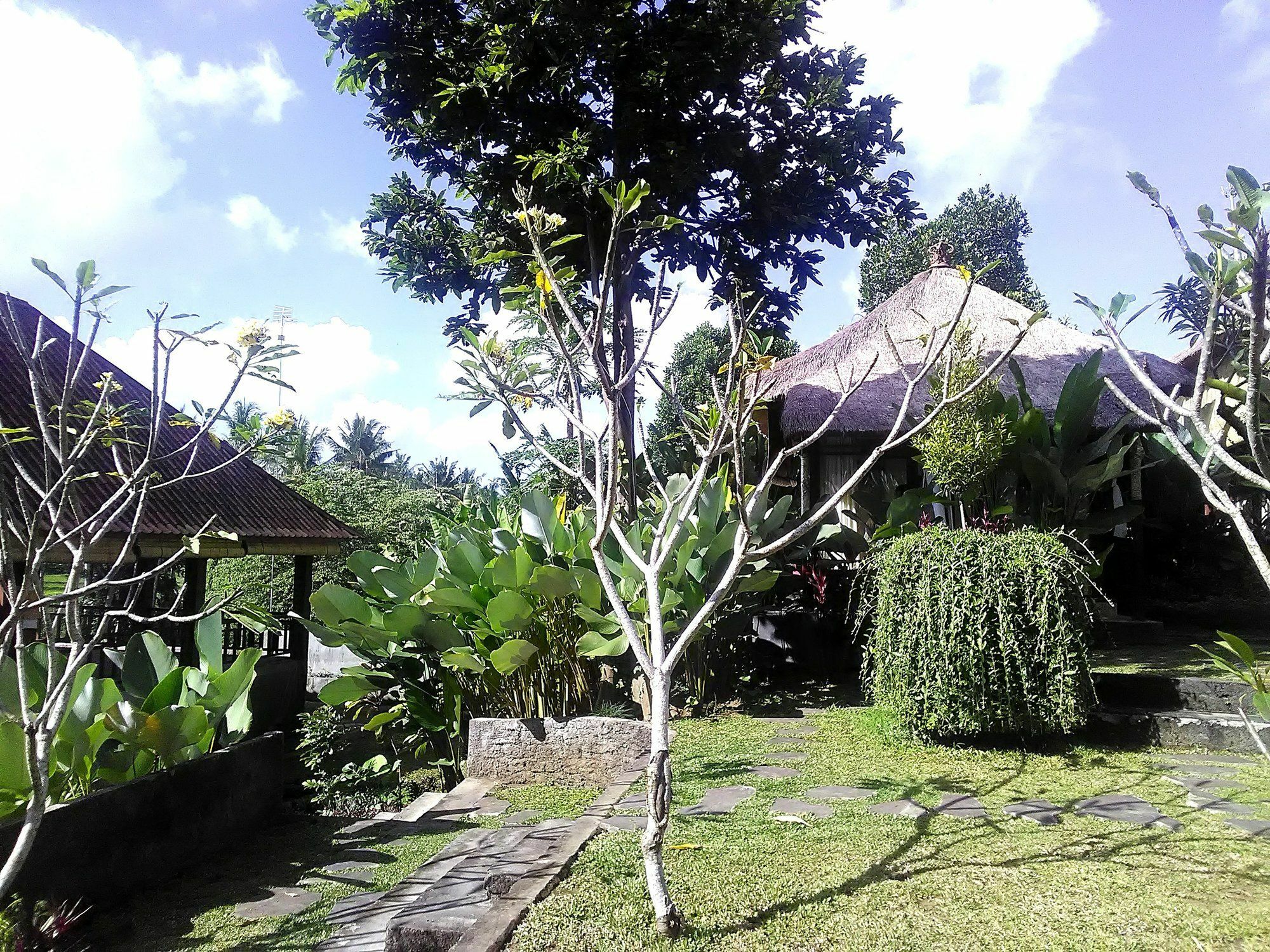 Astawa House Hotel Ubud  Exterior photo