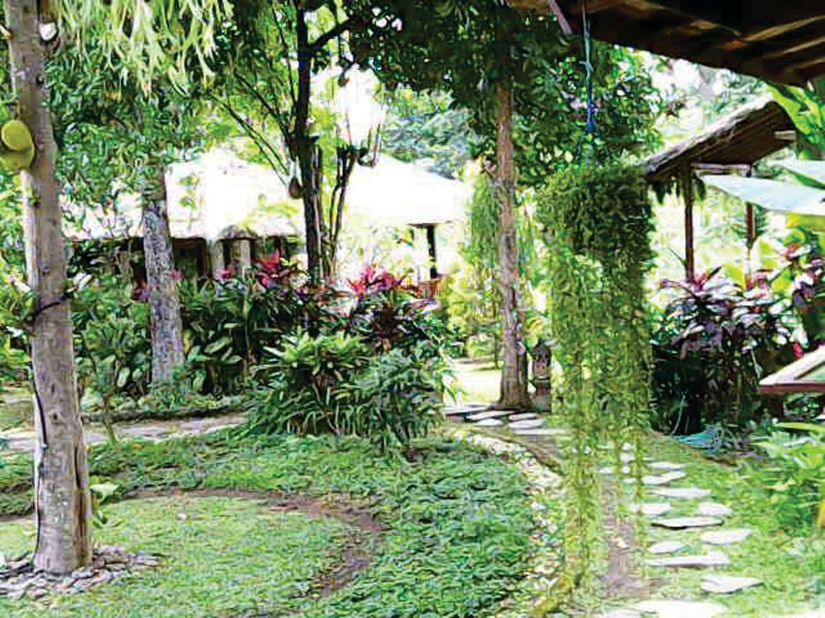 Astawa House Hotel Ubud  Exterior photo