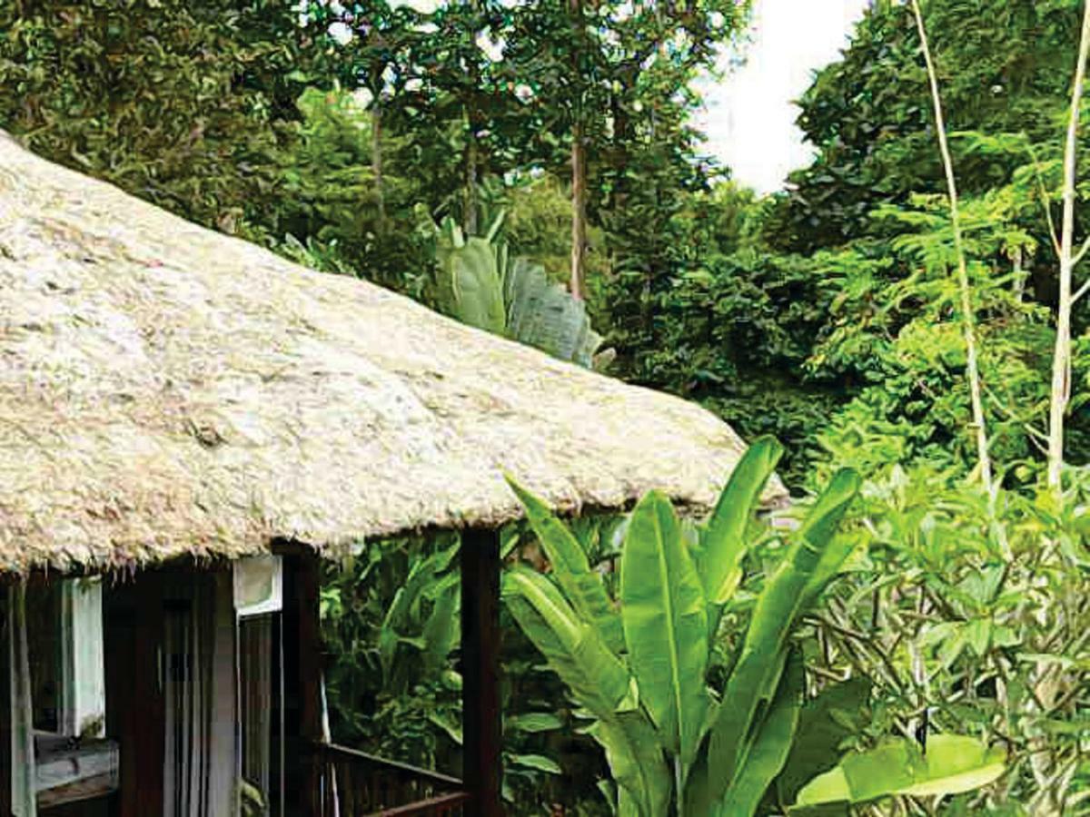 Astawa House Hotel Ubud  Exterior photo